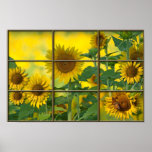 Bright Sunshiny Day posters