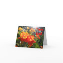 Bright Thank You cards