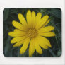bright yellow flower mouse mats