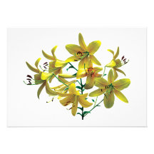 Bright Yellow Lilies Custom Invite