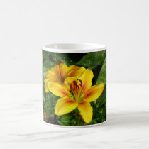 Bright yellow Lilies mugs