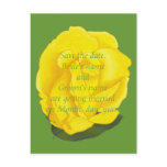 Bright yellow rose Save the date wedding postcards