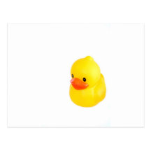 Bright Yellow Rubber Duck Post Card