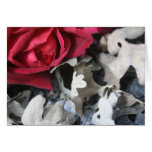 Brightened by a Rose cards