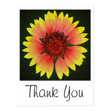 Brightest Blossom Thank You Postcard
