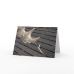 Brighton Beach, UK cards