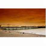 Brighton pier, England photo sculptures