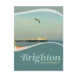 Brighton Pier Seagull Postcard