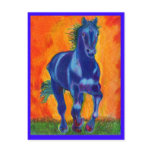 Brillian Blue Horse Postcards