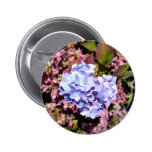 Brilliant blue and purple Hydrangea flowers Buttons