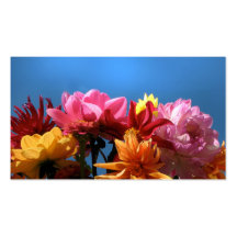 Brilliant Dahlias ATC Business Cards