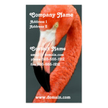 Brilliant Flamingo Business Card