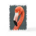 Brilliant Flamingo Greeting Card
