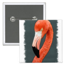 Brilliant Flamingo Square Pin