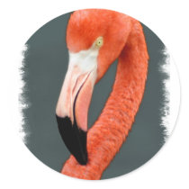 Brilliant Flamingo Sticker
