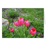 Brilliant in Pink Card