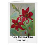 Brilliant Red Flowers Brighten Your Day