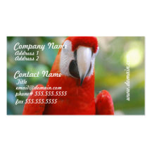 Brilliant Red Parrot Business Cards