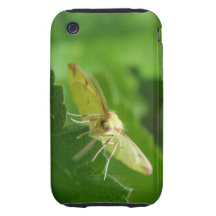Brimstone Moth iPhone 3 Case