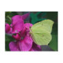 Brimstone Post Cards