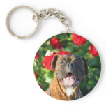 Brindle boxer dog keychain