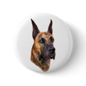 Brindle Great Dane Bust buttons