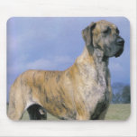 Brindle Great Dane mousepad