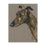 "Brindle Greyhound" Dog Art Postcard
