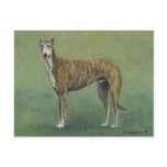 "Brindle Greyhound" Dog Art Postcard