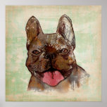 Brindle posters