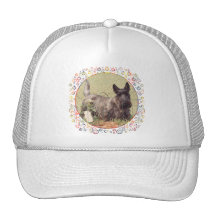 Brindle Scottish Terrier with Roses Mesh Hats