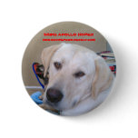 BRING APOLLO HOME buttons