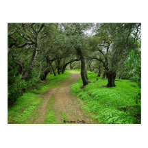 Briones Oaks Postcard