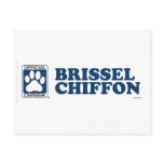 Brissel Chiffon Blue postcards