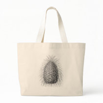 Bristlecone Fir Bags