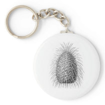 Bristlecone Fir Keychain