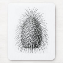 Bristlecone Fir Mouse Pad