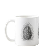 Bristlecone Fir Coffee Mug
