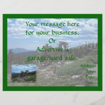 Bristlecone Pine Tree, Mount Evans, Colorado Full Color Flyer