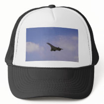 British Aerospace/Aerospatiale Concorde in flight, Hats