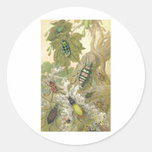 British Beetles Stickers