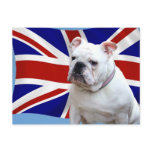 British Bulldog postcards