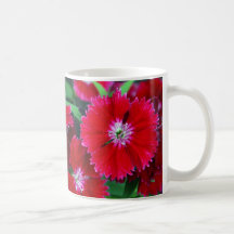 British Columbia flower Coffee Mugs