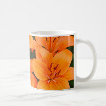 British Columbia flowers Mug