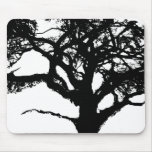 British Oak in St. James' Park mousepads