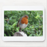 British Robin mousepads