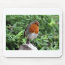 British Robin Mousepad