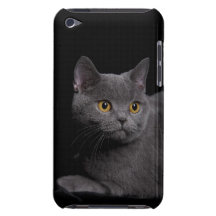 British Shorthair Barely There™ iPod Touch Case
