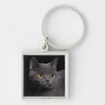 British Shorthair Premium Keychain