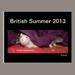 British Summer 2013 postcard postcards
